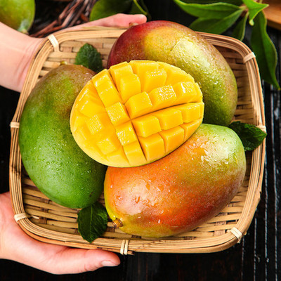 悟岳 【卷后33.9元】當季現摘攀枝花凱特芒果5斤新鮮水果 助農