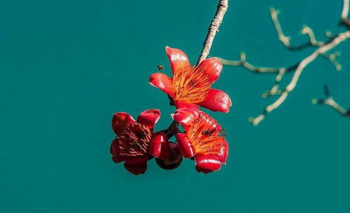 充電再續(xù)航 金舵攀枝花終端賦能培訓會圓滿結束