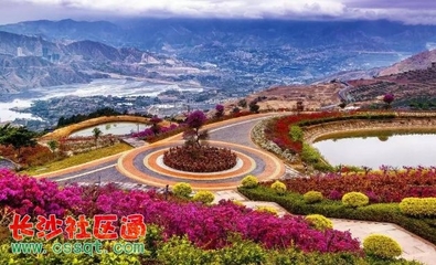 四川發(fā)布今年第一期觀花指數(shù) 德陽這個(gè)地方觀花指數(shù)已到達(dá)最佳時(shí)期!