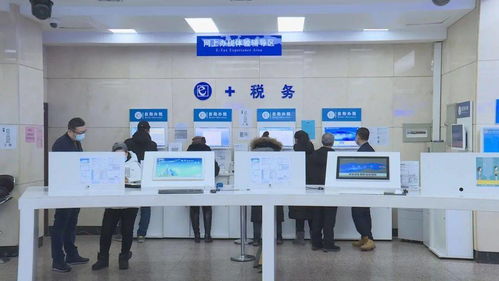黑龍江省全面上線增值稅電子專用發(fā)票，為信息咨詢服務(wù)行業(yè)注入數(shù)字化新動(dòng)能